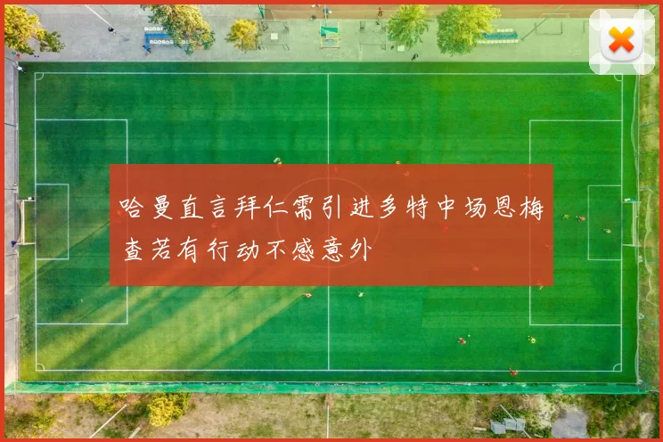哈曼直言拜仁需引进多特中场恩梅查若有行动不感意外