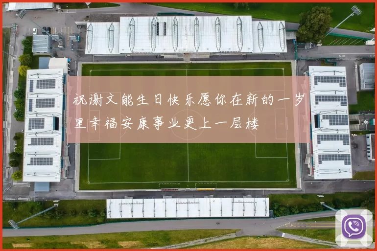 祝谢文能生日快乐愿你在新的一岁里幸福安康事业更上一层楼