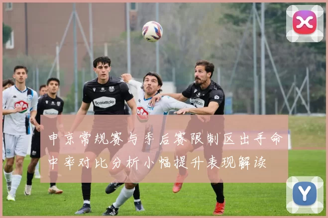 申京常规赛与季后赛限制区出手命中率对比分析小幅提升表现解读
