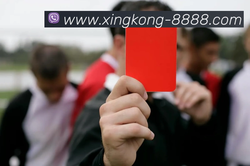 企业概况